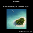 /album/fenykepgaleria/kep-9-png/